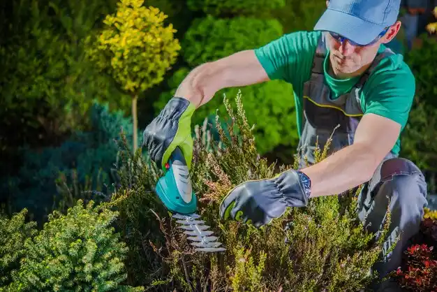 landscaping services Mead